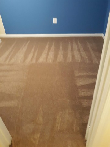 carpet with installation